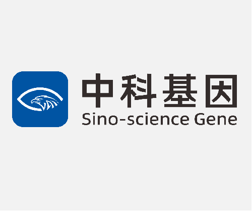 北京中科基因技术股份有限公司 使用资本公积金弥补亏损的公告